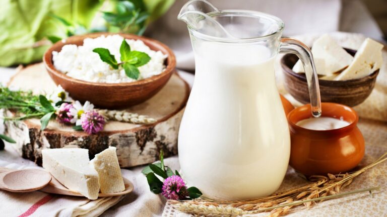 В Украине сокращается производство молока: молочная отрасль уже страдает от дефицита сырья - today.ua