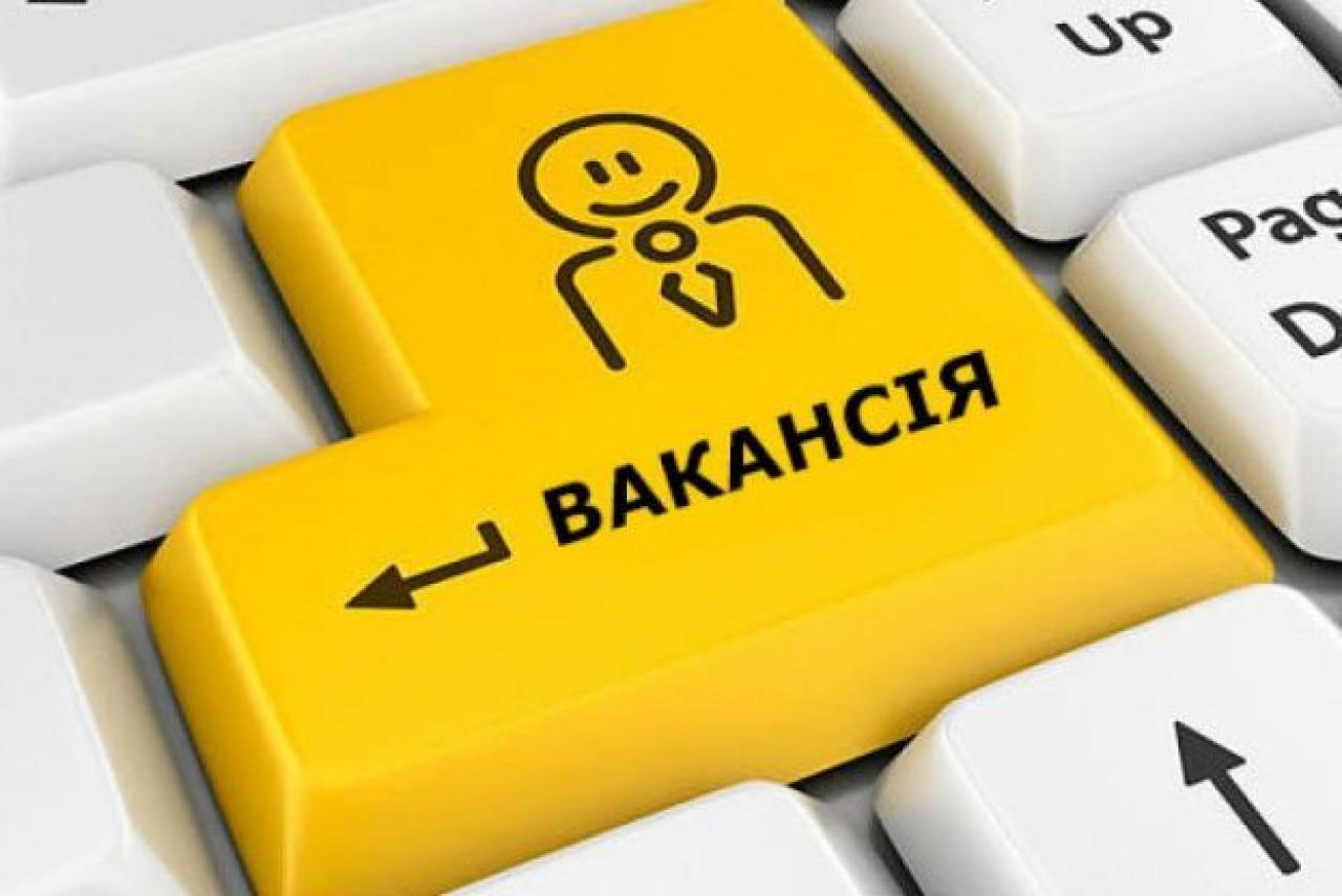 Работа в Украине: назван топ-5 самых востребованных профессий на рынке труда 