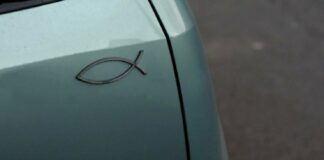 Что означает значок «рыбка» на автомобиле - today.ua