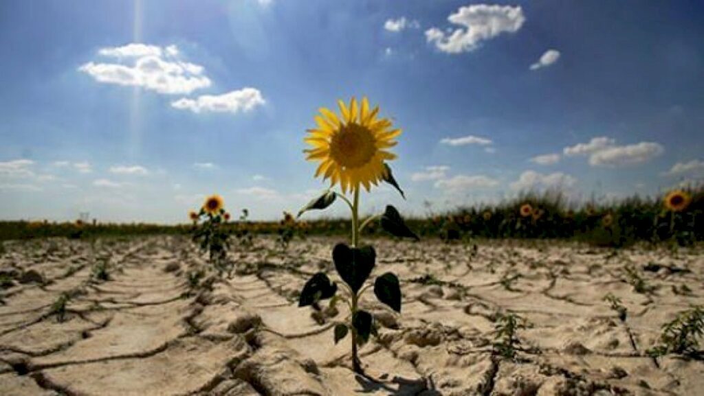Аномальная засуха: украинцев предупредили о предстоящем катаклизме
