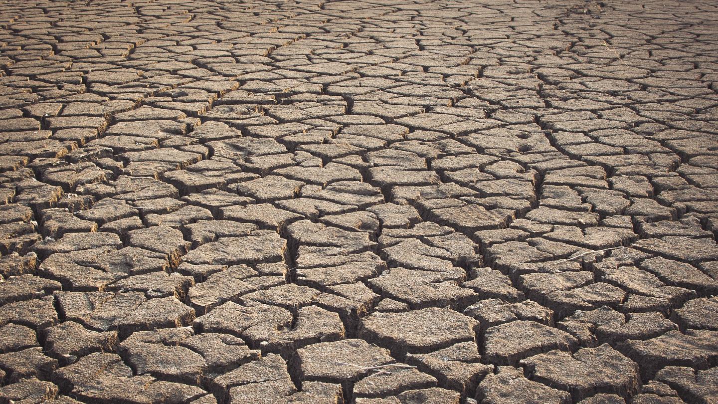 Аномальная засуха: украинцев предупредили о предстоящем катаклизме - today.ua