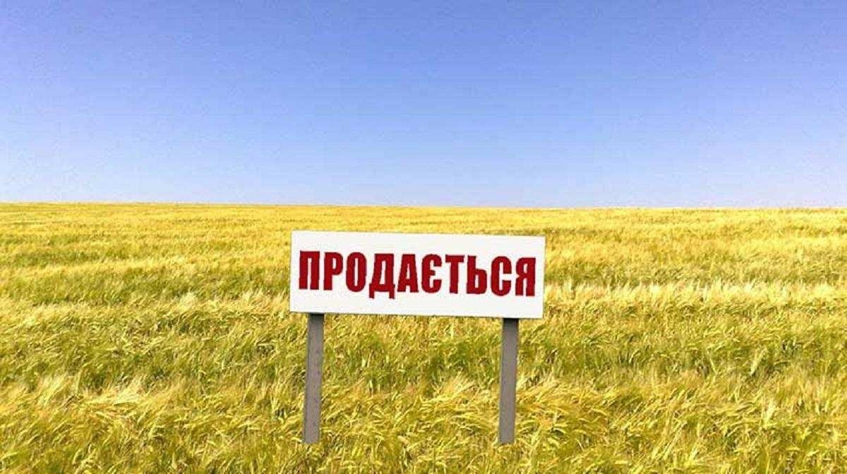 После запуска рынка земли в Украине крупные землевладельцы смогут отбирать участки у дачников и фермеров
