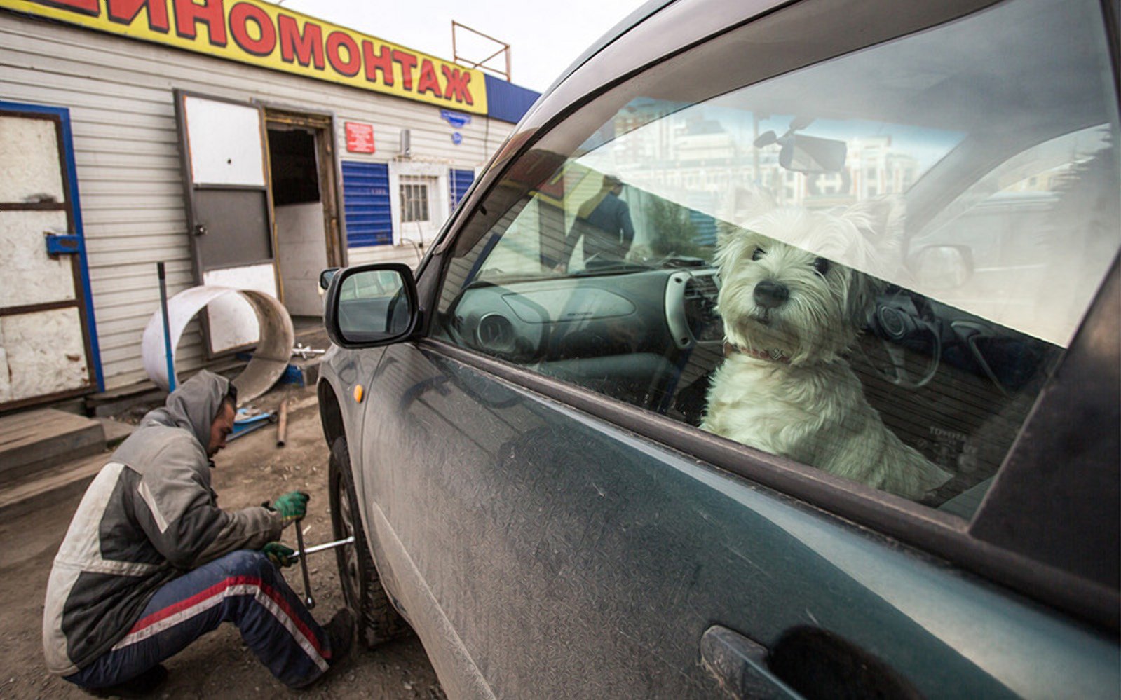 Як правильно перевзутися в літню гуму - today.ua