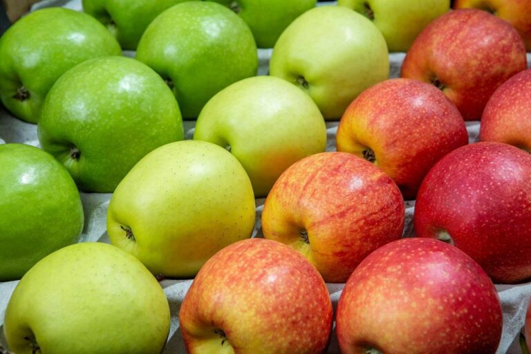 Україна нарощує імпорт яблук в Африку, незважаючи на зростання цін на власному ринку - today.ua