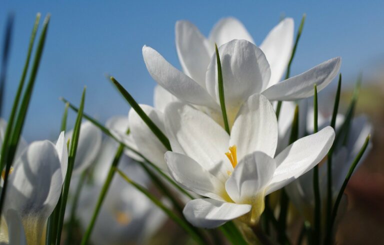Свято 12 квітня: традиції та іменини в день Іоанна Лествичника - today.ua