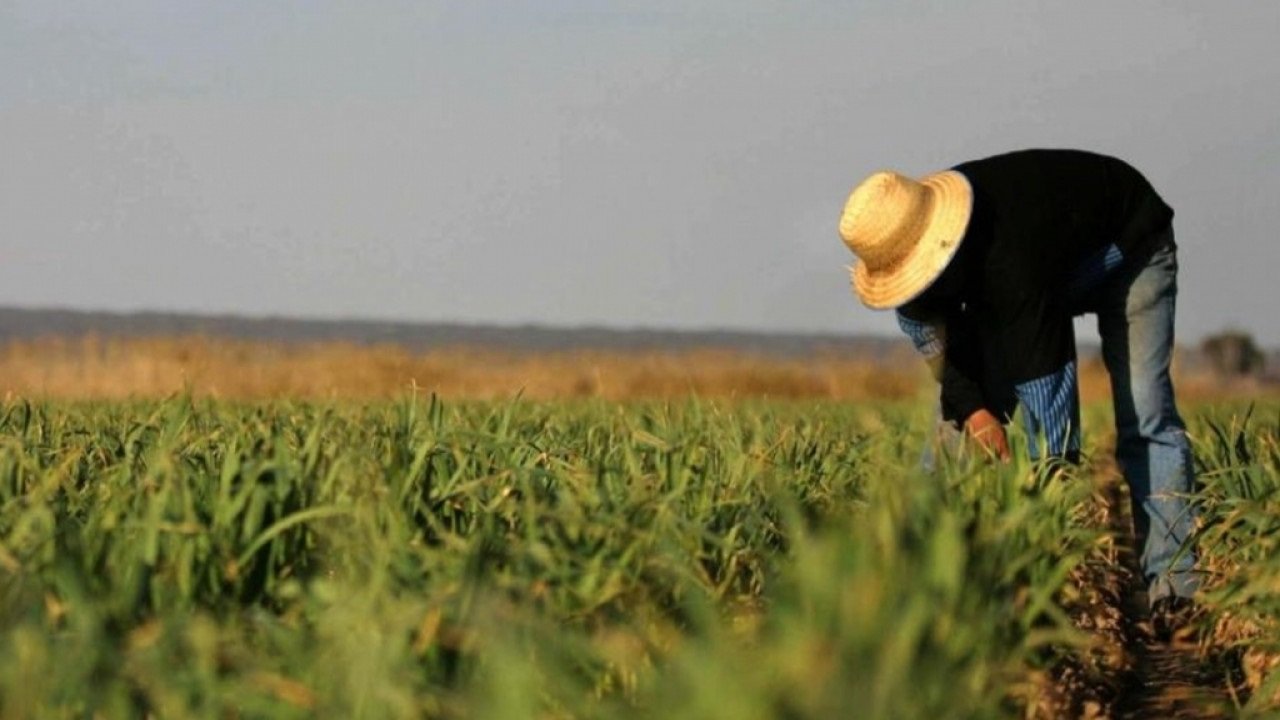 В Украине обложат налогами селян, которые сами обрабатывают землю и выращивают продукцию
