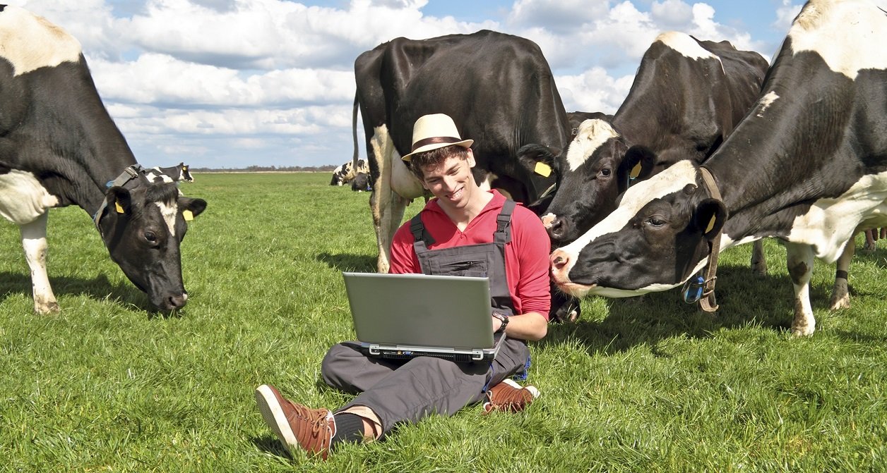 В украинских селах появится качественный интернет: Кабмин принял важное решение