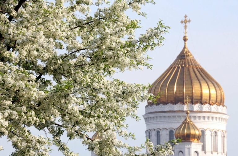 Праздник 10 апреля: народные приметы и именины в день Илариона Нового - today.ua