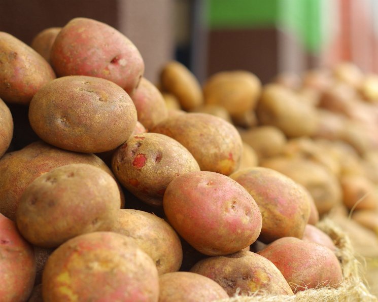 В Украине подешевеют сезонные овощи: эксперты назвали причину  