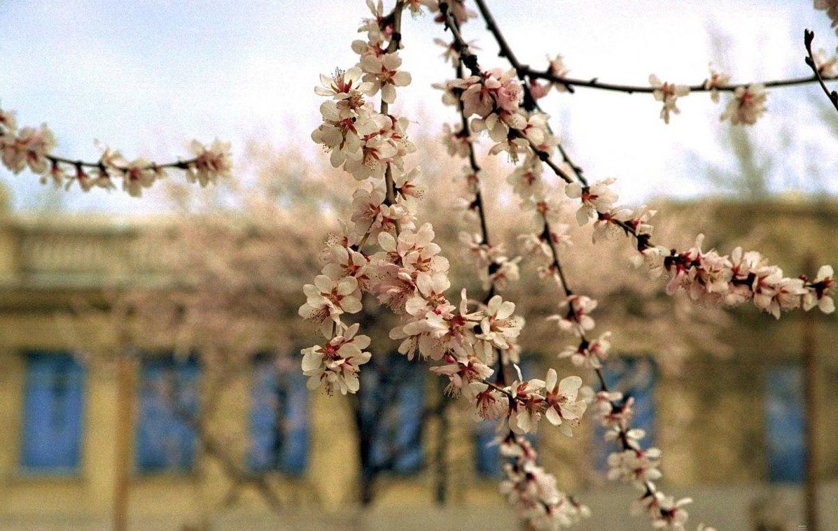 В Украину придет потепление уже на выходных: прогноз синоптиков по областям до конца недели