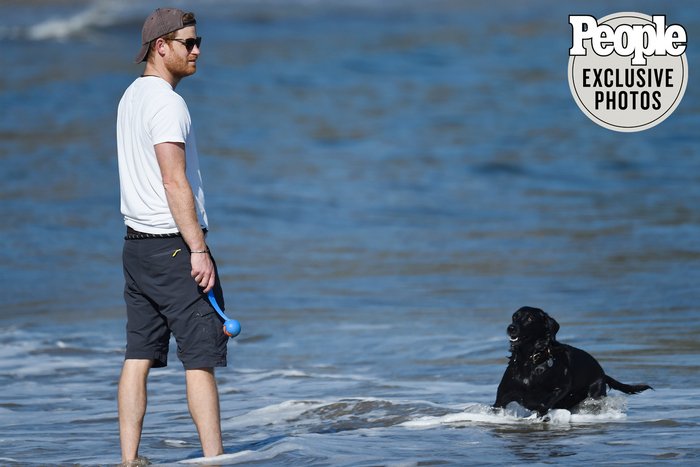 Принц Гарри попал в объективы папарацци во время игры с собакой на пляже в Калифорнии