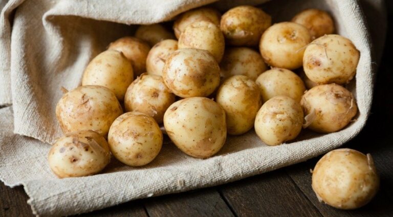 Як зібрати врожай молодої картоплі раніше за сусідів: розкриті секрети городників - today.ua