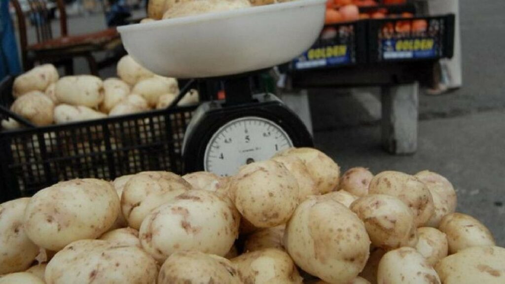 В этом году цены на молодой картофель побили рекордные показатели