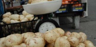 Українські фермери назвали ціну на картоплю після завершення збирального сезону - today.ua