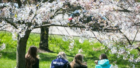 В Україну прийде довгоочікуване потепління: синоптики назвали дату - today.ua