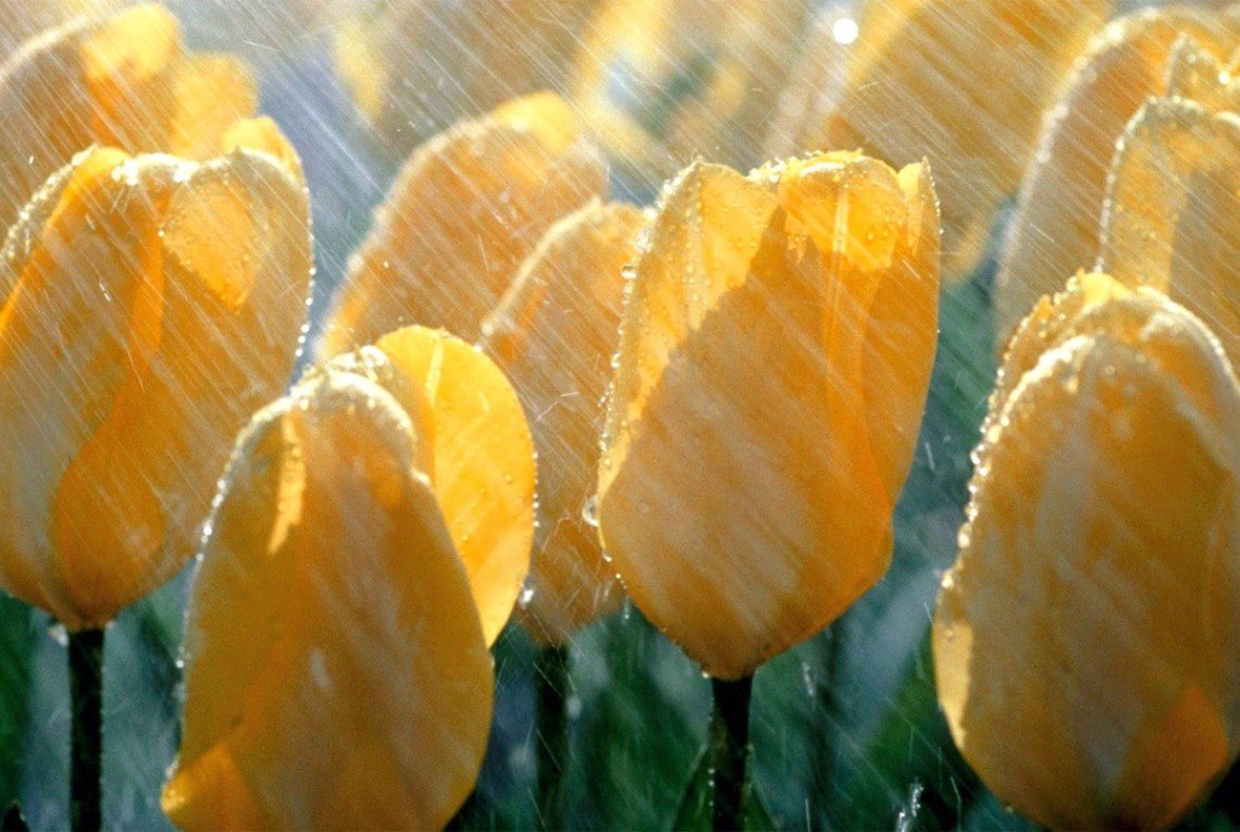 Циклон принесе в Україну похолодання: у яких областях вдарять морози на початку тижня