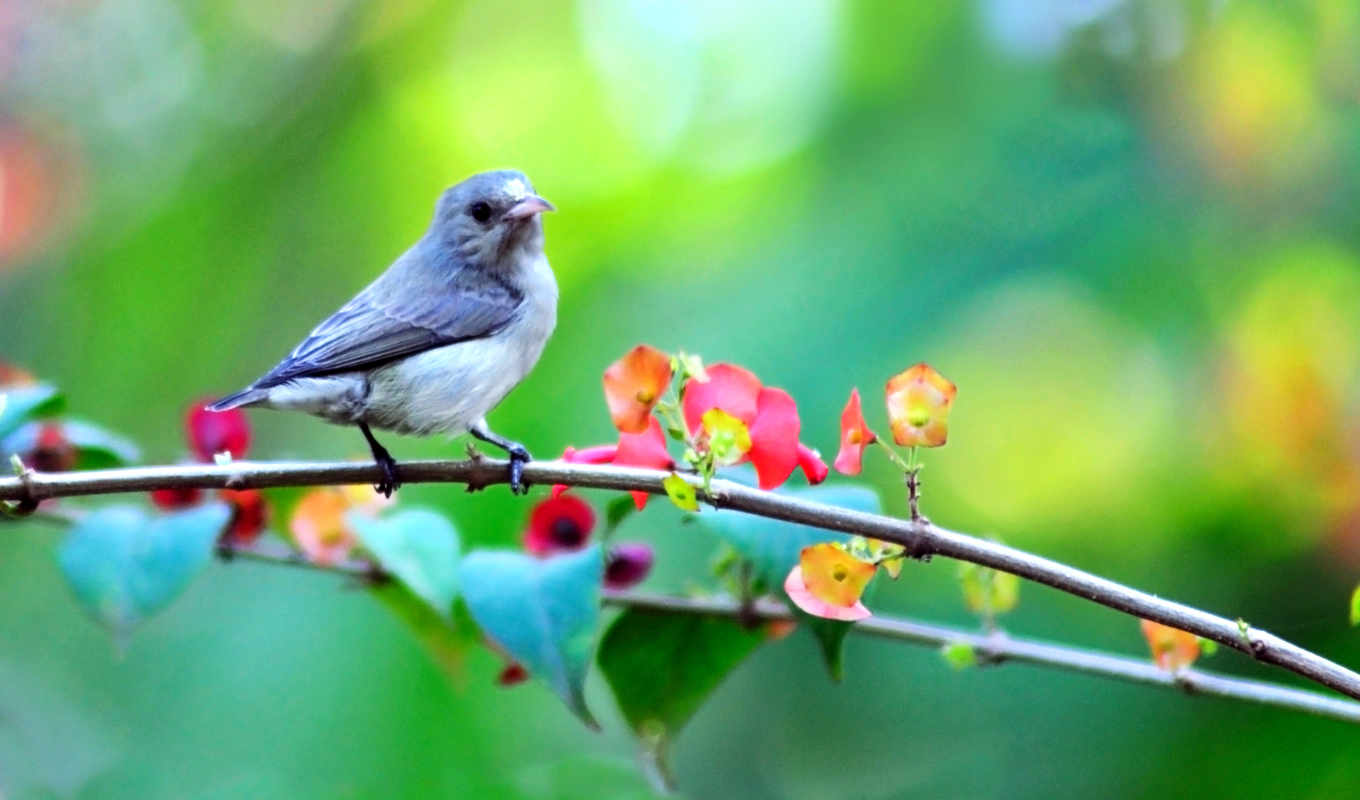 В Украину придет долгожданное потепление: синоптики рассказали о погоде накануне Пасхи
