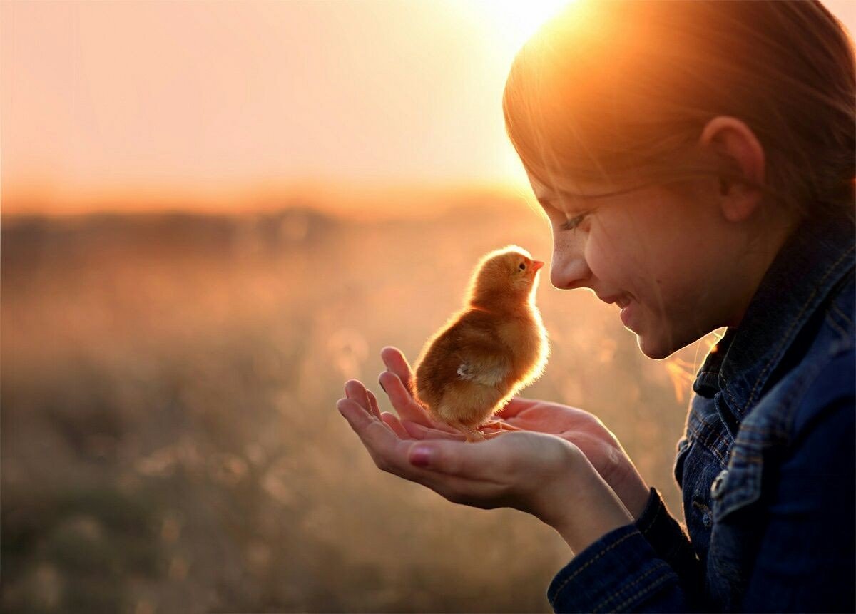 ТОП-4 найдобріших знаків Зодіаку, на допомогу яких можна розраховувати - today.ua