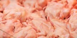 Українські супермаркети переповнені фальсифікатом курятини: яким повинно бути якісне м'ясо - today.ua