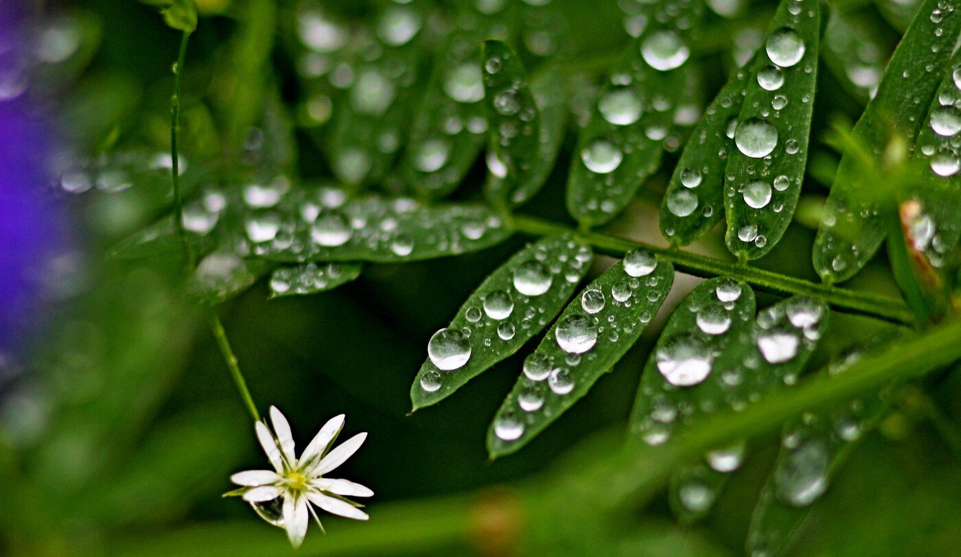 Украину в мае накроет жара с дождями: синоптики дали прогноз до конца месяца