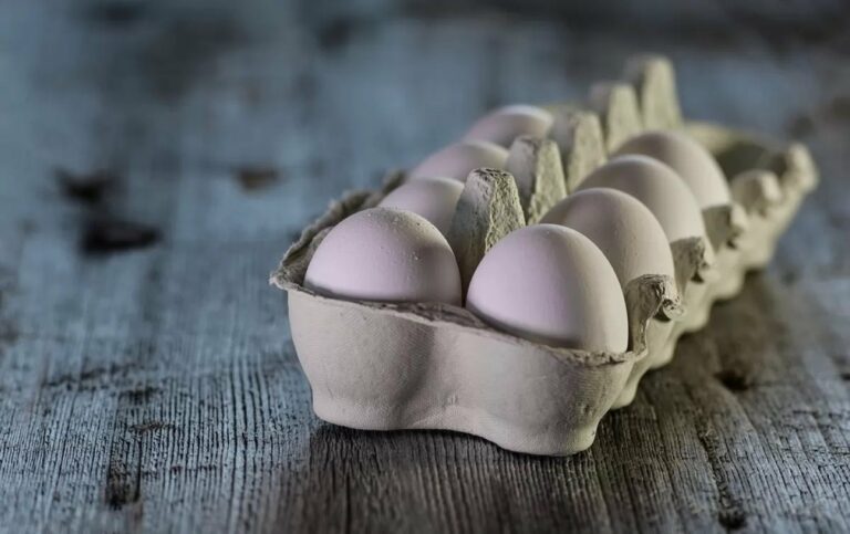 В Україні зміняться ціни на курячі яйця: скільки буде коштувати продукт в магазинах - today.ua