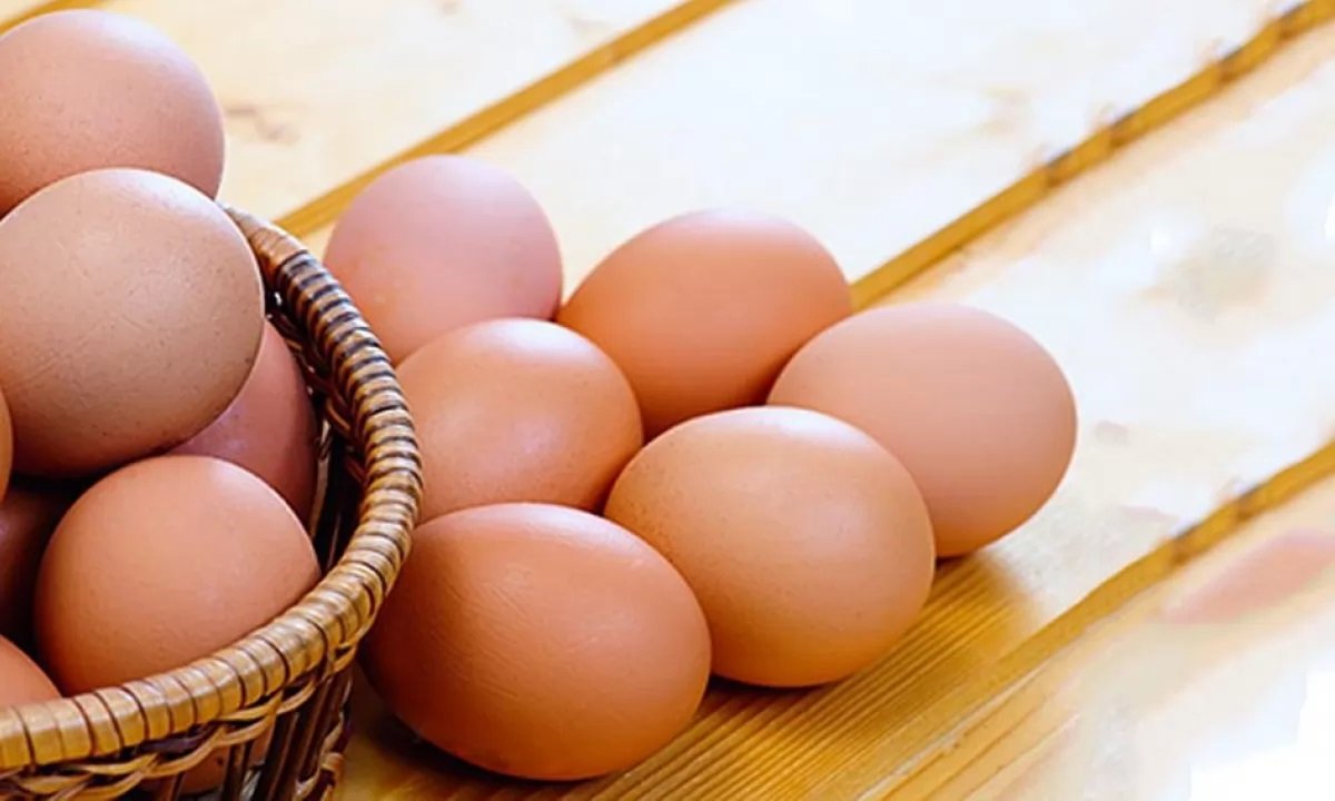 В Украине подешевеют куриные яйца