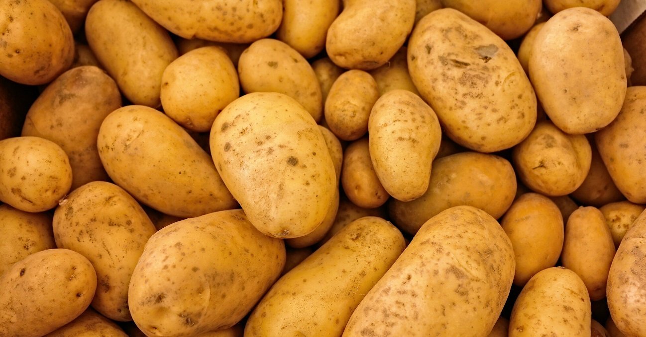 Картофель может стать дефицитным продуктом: аграрии назвали причину