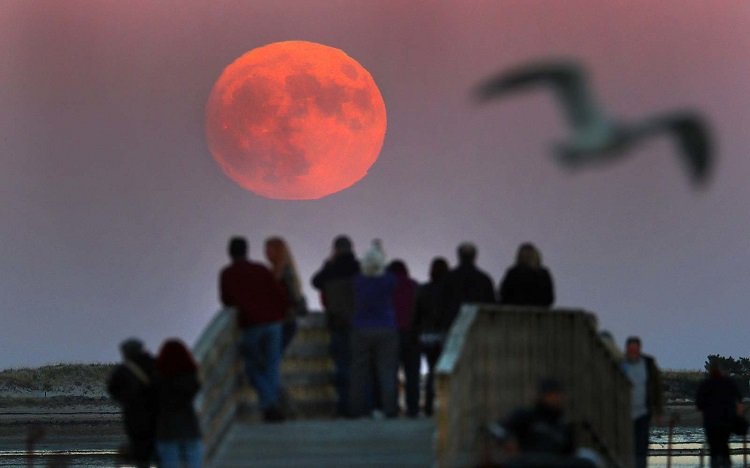 Найнебезпечніша ніч весни: як пережити місячне затемнення, супермісяць та початок коридору затемнень