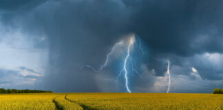 Дощі з грозами і штормовий вітер: в яких областях України погіршиться погода - today.ua
