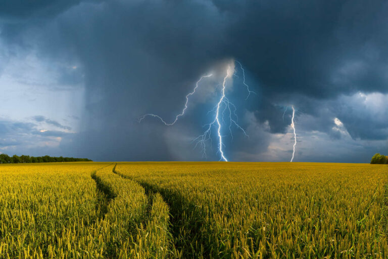 Дожди с грозами и штормовой ветер: в каких областях Украины ухудшится погода  - today.ua