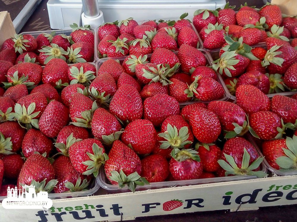 В Україні зберігаються високі ціни на полуницю: покупцям пропонують збирати ягоди самим