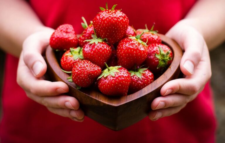 В Україні зберігаються високі ціни на полуницю: покупцям пропонують збирати ягоди самим - today.ua