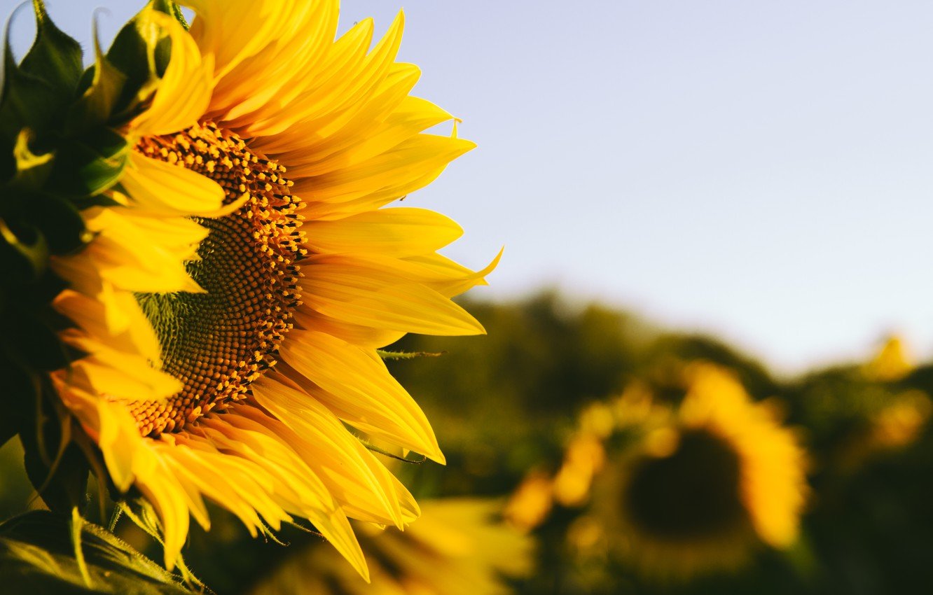 Сильное похолодание в середине лета: погода готовит украинцам новые испытания - today.ua