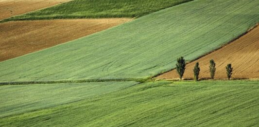 Українцям назвали нову вартість гектара землі з 1 липня - today.ua