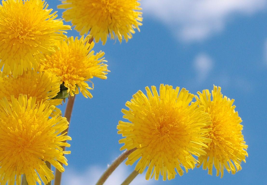 В Украину придет летняя жара: синоптики рассказали, где и когда ждать до +25 градусов