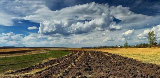 Продати землю в Україні після 1 липня стане складніше: хто зможе стати в ряди покупців - today.ua