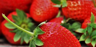 Клубника будет крупной и сладкой: пять самых простых средств позволят собрать отличные урожаи ягод - today.ua