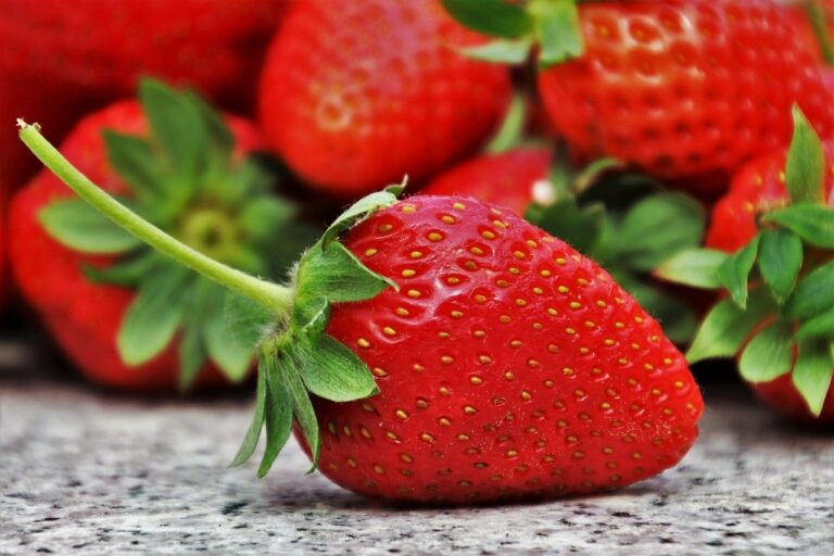 Клубника будет крупной и сладкой: пять самых простых средств позволят собрать отличные урожаи ягод - today.ua