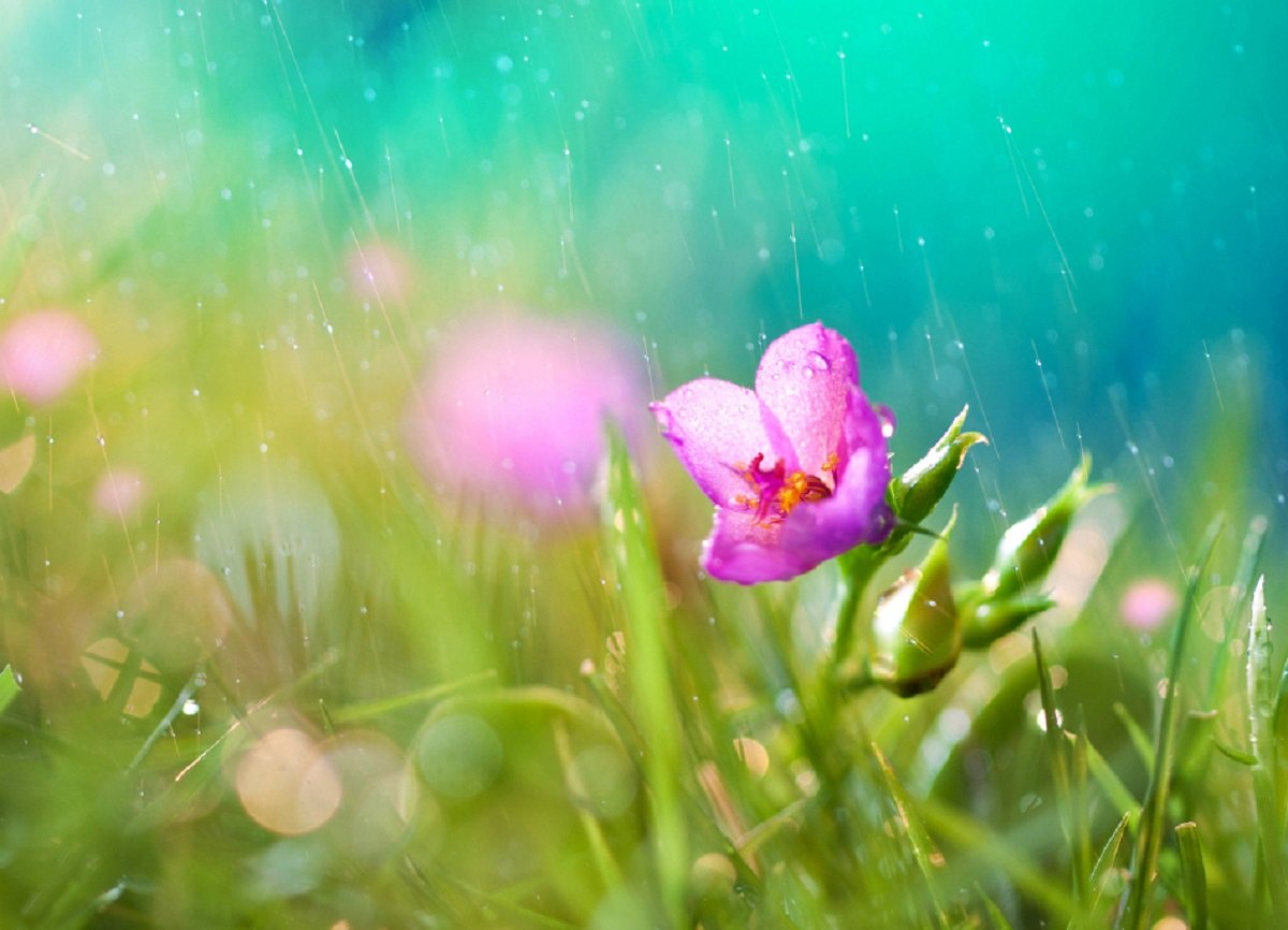 На Украину снова надвигаются дожди и грозы: прогноз погоды на выходные - today.ua