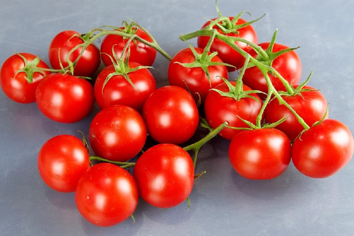 Помидоры будут крупными и вкусными: лучшие подкормки для домашних томатов