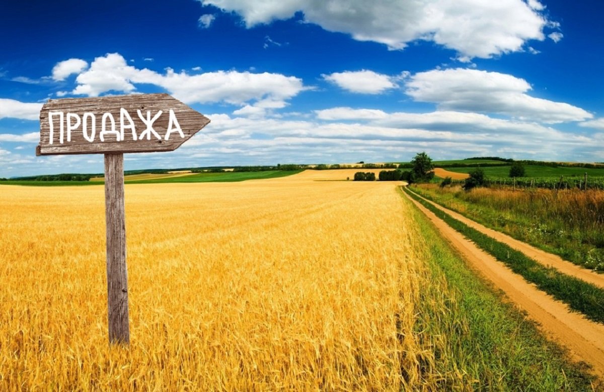Українські землі розпродадуть на онлайн-аукціонах: в закон внесли нові поправки
