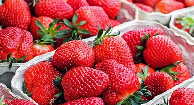 В Украине вырастут цены на ягоды и овощи “борщевого набора“ из-за затяжных дождей и холода