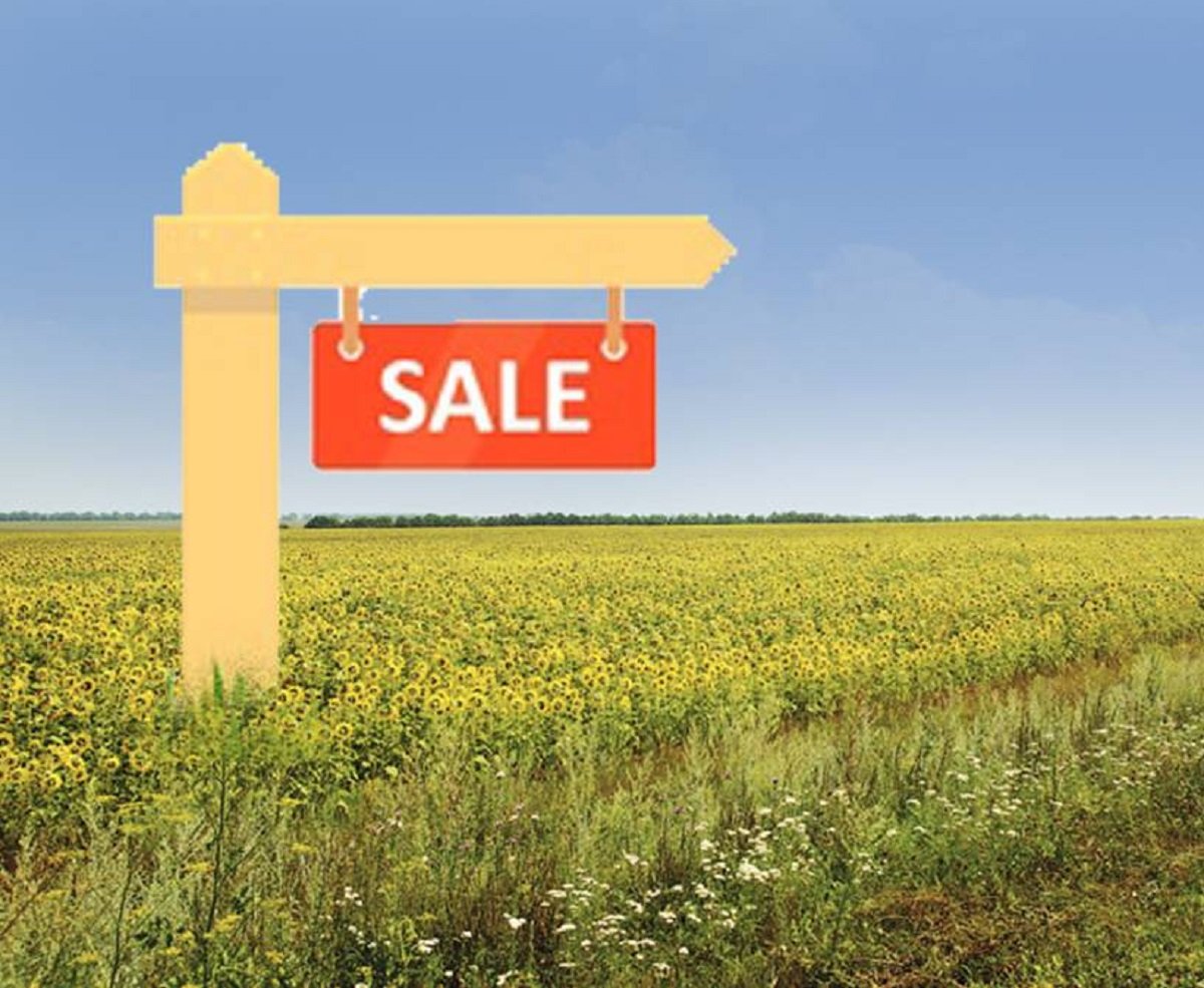 Украинцы потеряют субсидии после запуска рынка земли: чем обернется торговля участками