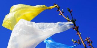 В Україні будуть штрафувати до 8500 гривень за пластикові пакети в магазинах - today.ua