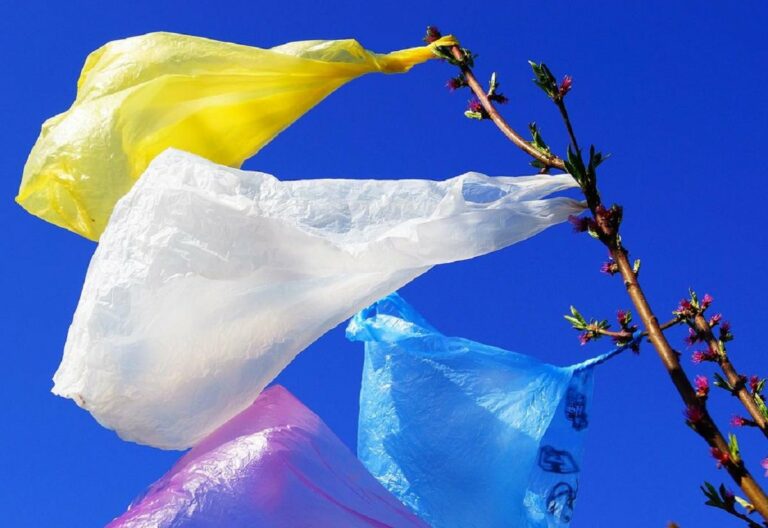 В Украине будут штрафовать до 8500 гривен за пластиковые пакеты в магазинах - today.ua