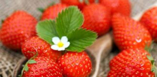 В Украине рекордно снизились цены на сезонные ягоды - today.ua