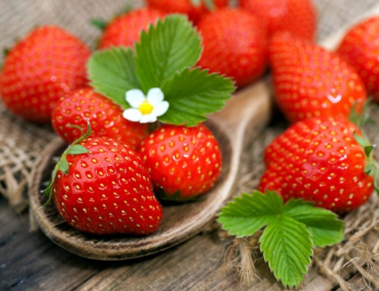 В Україні рекордно знизилися ціни на сезонні ягоди - today.ua