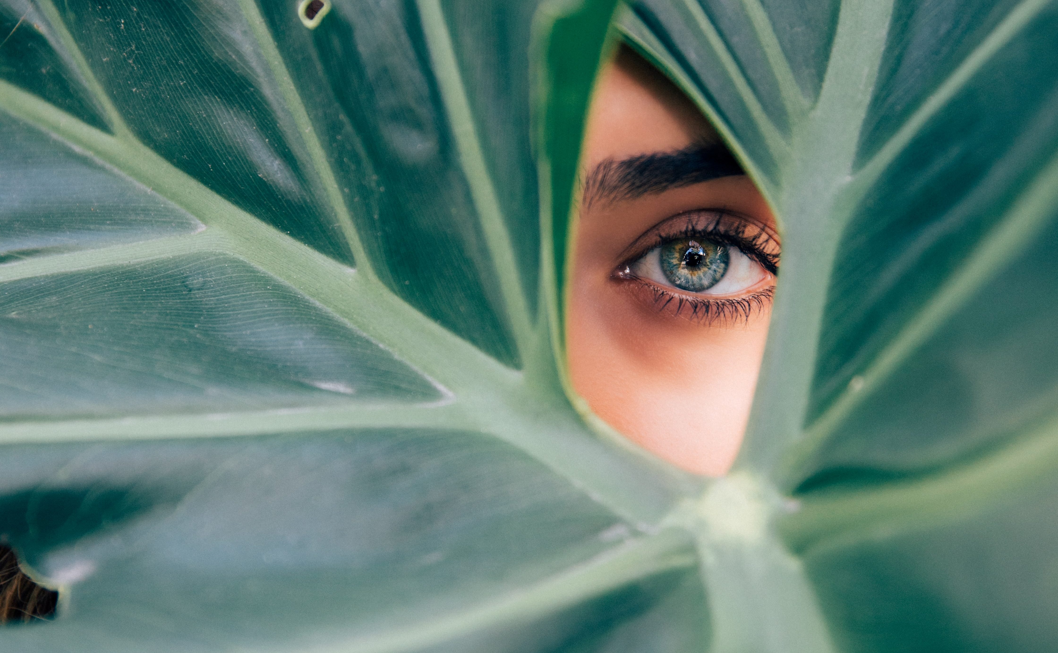 Чотири знаки Зодіаку, які розпізнають брехунів і маніпуляторів - today.ua