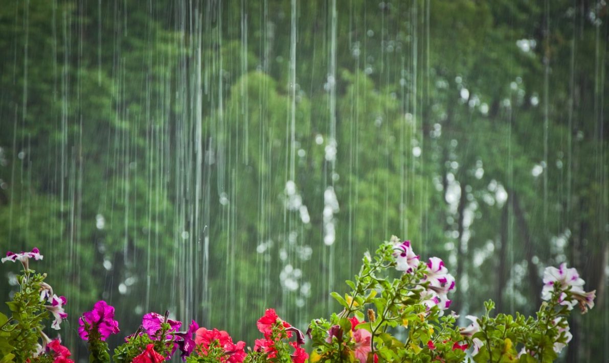 Циклон принесет в Украину ливни на ближайшую неделю: синоптики рассказали, где ожидать осадков