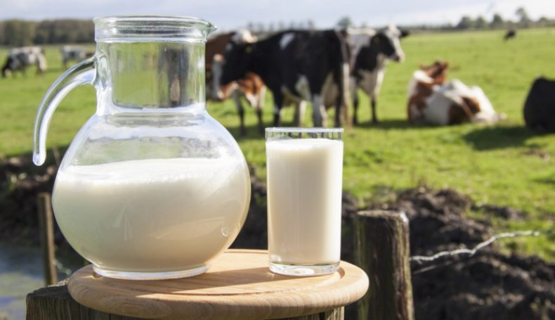 Украинцы массово переходят на растительное молоко: поголовье коров сокращается   